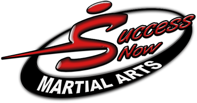Success Now Martial Arts Logo